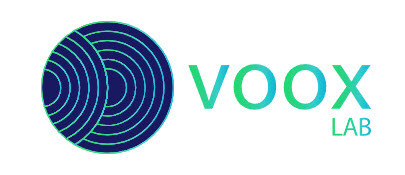 alt="Implementación de HubSpot CRM en Vooxlab"